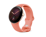 Google Pixel Watch 5 Price in Pakistan W3 Shopping